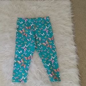Butterfly leggings that are teal